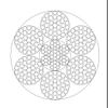 6 × 37-IWR