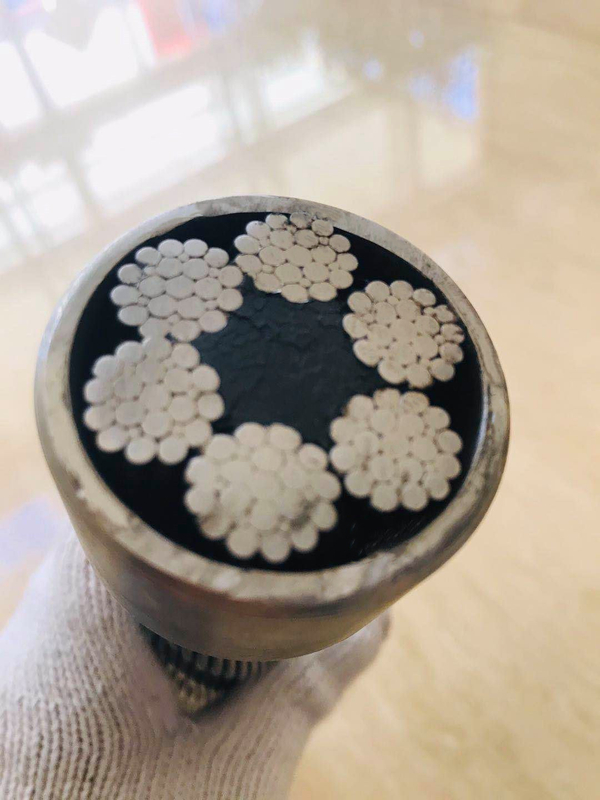 Cuerda de alambre de acero galvanizado 6X19 FC de la marca usada por tonelada
